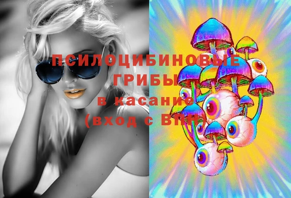 МДПВ Лиски