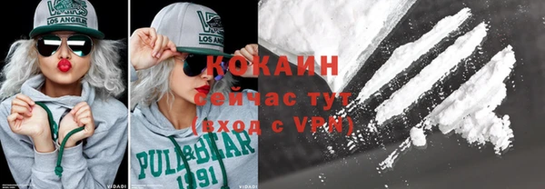 МДПВ Лиски
