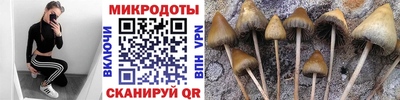 Галлюциногенные грибы Cubensis  Усинск 