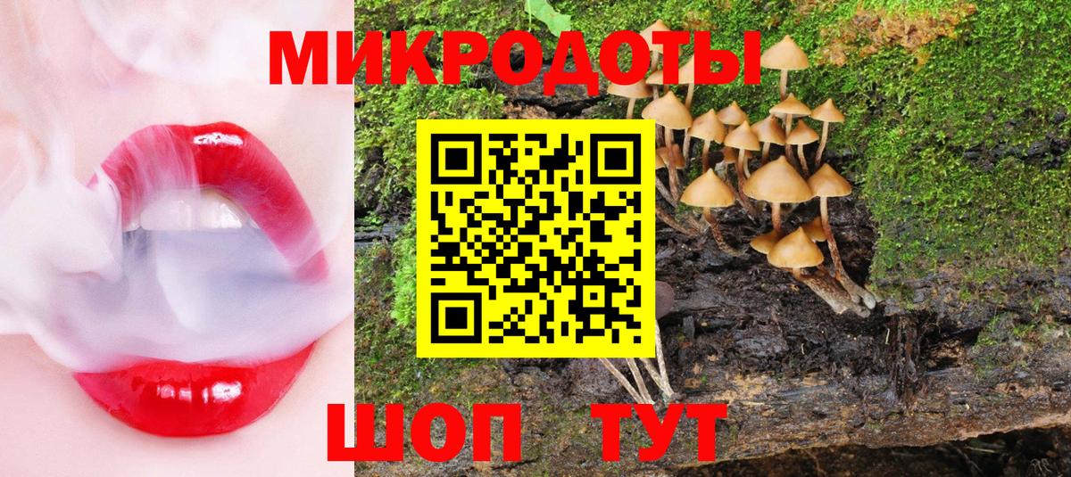Галлюциногенные грибы Psilocybine cubensis Усинск