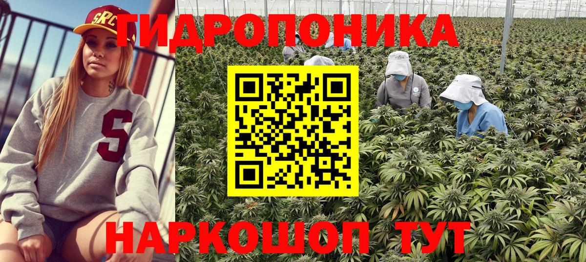 Бошки марихуана ГИДРОПОН  Канабис OG Kush  Усинск  Вход с VPN 